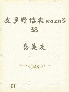 波多野结衣wazn338