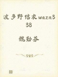 波多野结衣wazn338