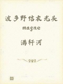 波多野结衣光头magne