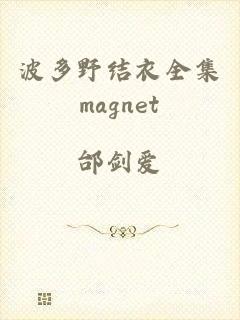 波多野结衣全集magnet