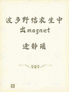 波多野结衣生中出magnet