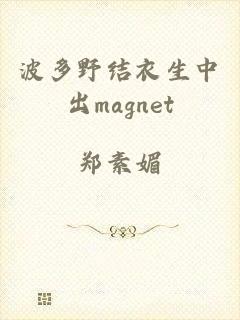 波多野结衣生中出magnet