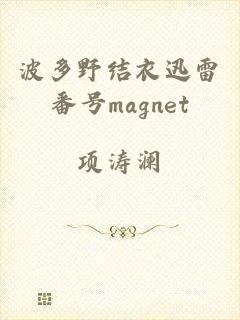 波多野结衣迅雷番号magnet