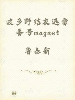 波多野结衣迅雷番号magnet