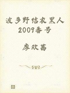 波多野结衣黑人2009番号