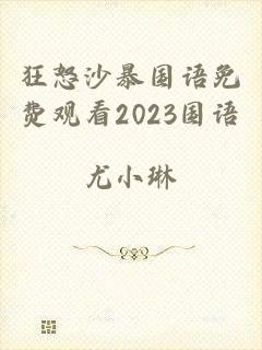 狂怒沙暴国语免费观看2023国语