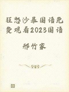 狂怒沙暴国语免费观看2023国语