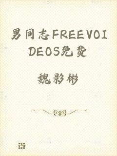 男同志FREEVOIDEOS免费