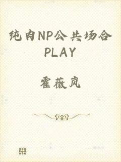 纯肉NP公共场合PLAY