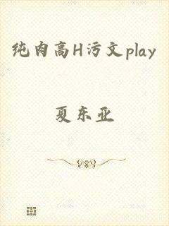 纯肉高H污文play