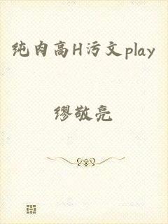 纯肉高H污文play