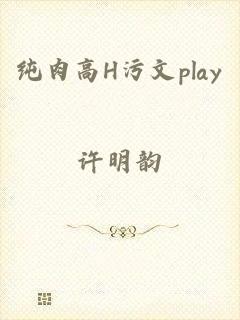 纯肉高H污文play