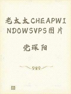 老太太CHEAPWINDOWSVPS图片