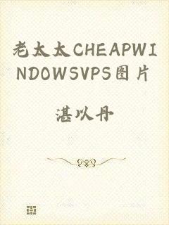 老太太CHEAPWINDOWSVPS图片