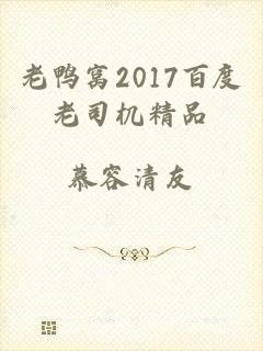 老鸭窝2017百度老司机精品