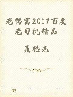 老鸭窝2017百度老司机精品