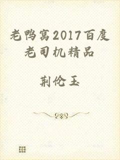 老鸭窝2017百度老司机精品