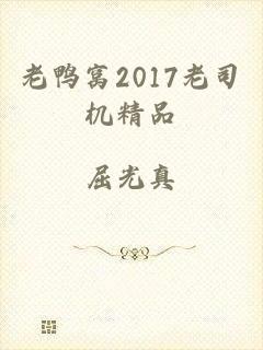 老鸭窝2017老司机精品