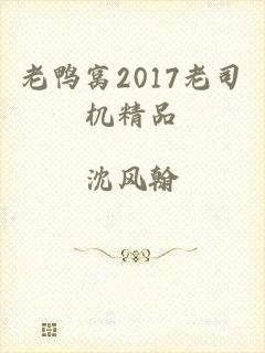 老鸭窝2017老司机精品