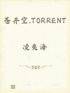 苍井空.TORRENT