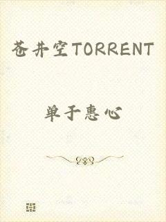 苍井空TORRENT