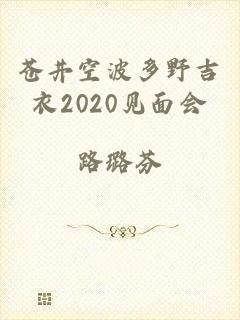 苍井空波多野吉衣2020见面会