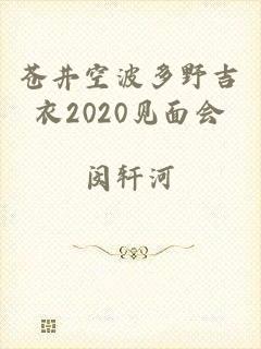 苍井空波多野吉衣2020见面会