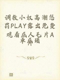 调教小奴高潮惩罚PLAY露出免费观看成人毛片A片