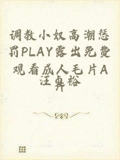 调教小奴高潮惩罚PLAY露出免费观看成人毛片A片