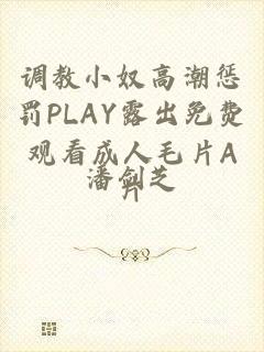 调教小奴高潮惩罚PLAY露出免费观看成人毛片A片