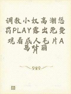 调教小奴高潮惩罚PLAY露出免费观看成人毛片A片