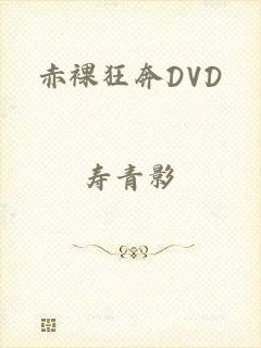 赤裸狂奔DVD