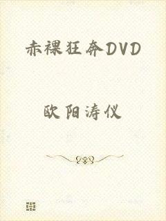 赤裸狂奔DVD