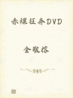 赤裸狂奔DVD