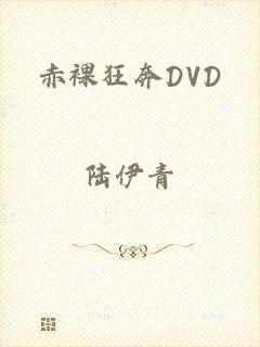 赤裸狂奔DVD