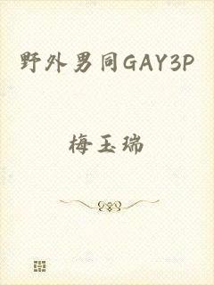 野外男同GAY3P