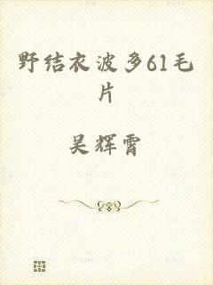 野结衣波多61毛片