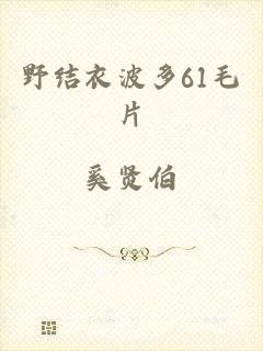 野结衣波多61毛片