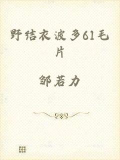 野结衣波多61毛片