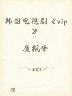 韩国电视剧《vip》