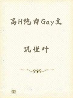 高H纯肉Gay文