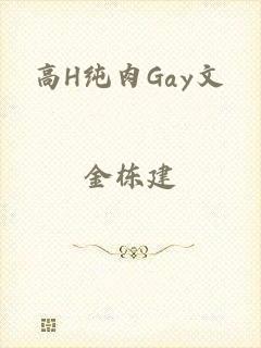 高H纯肉Gay文